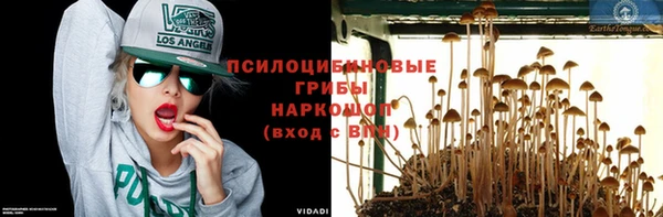 гидра Абинск
