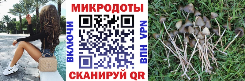 Галлюциногенные грибы мухоморы  купить наркоту  OMG ONION  Туапсе 